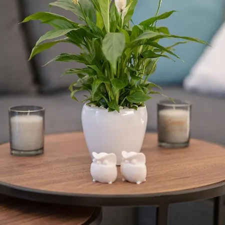 Lägenhet Sofilins Luxury