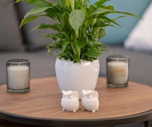 Apartament Sofilins Luxury